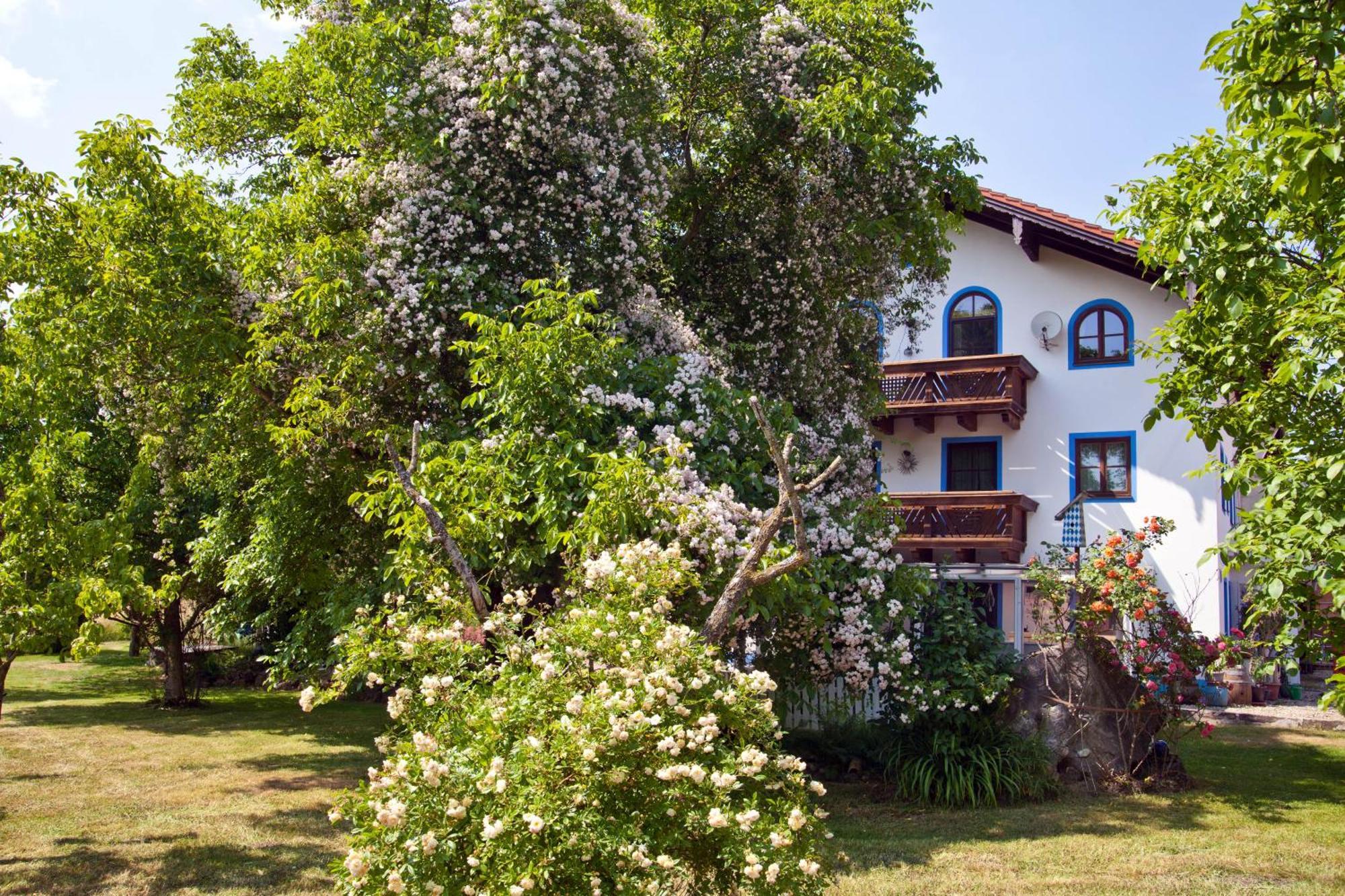 Ferienwohnung Moierhof Palling Exterior foto